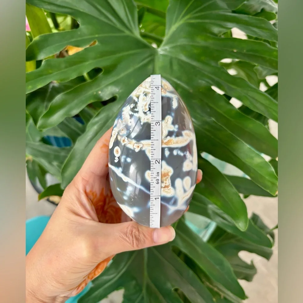 Orca Agate Freeform